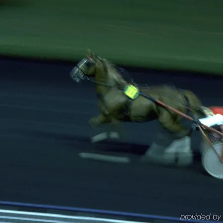 多梅尼斯波特多利宜必思酒店 酒店 3*